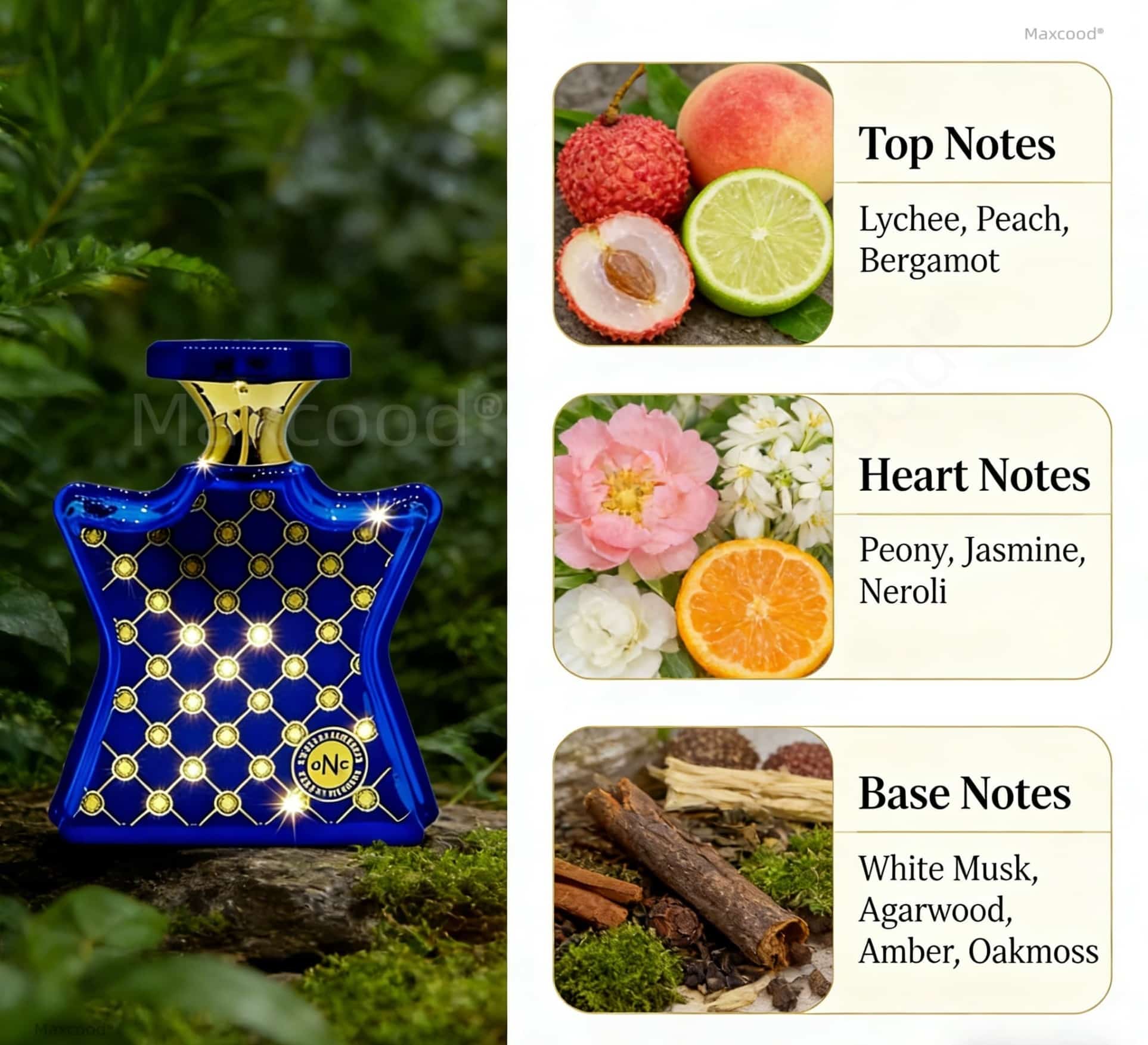Citrus and floral Perfume Long - Unique Perfume Fragrance review and price